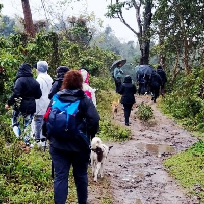 Jungle Safari in Nepal