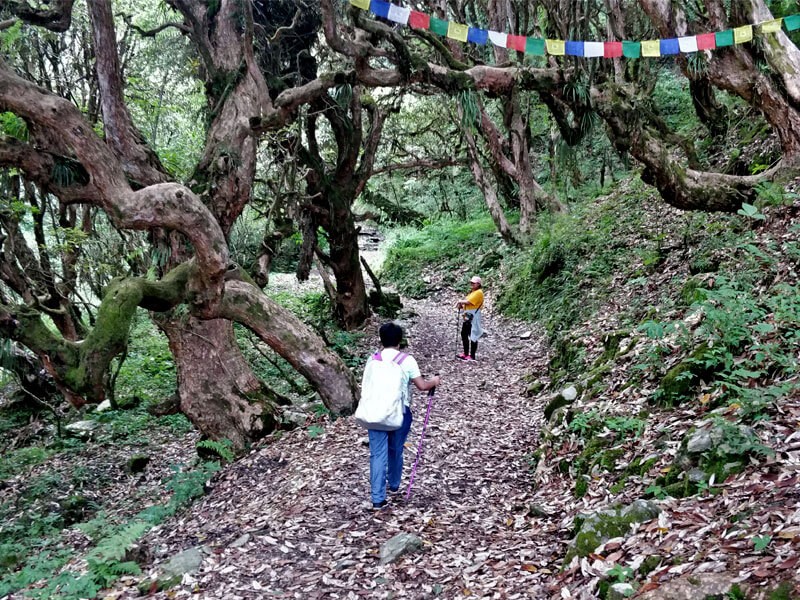 Annapurna Base Camp Trek solo