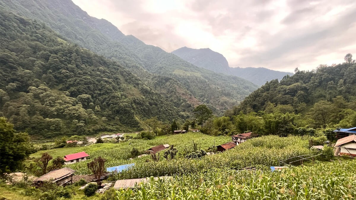 Beautiful Green environment of the Kanchenjunga region