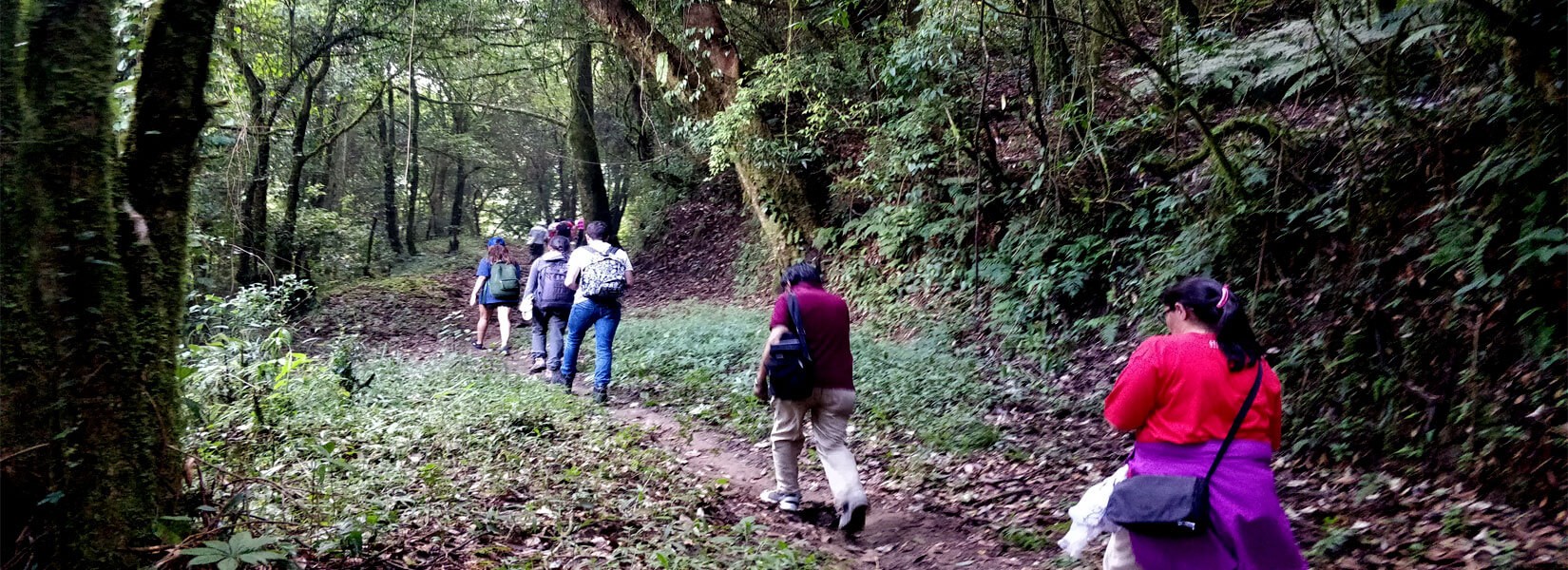 Kakani Suryachaur Day Hiking