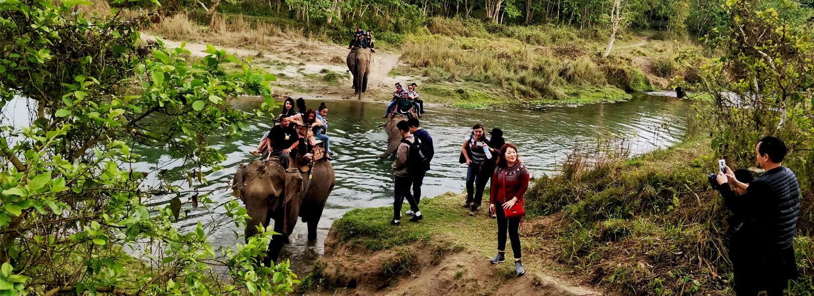 Nepal Jungle Safari Tour