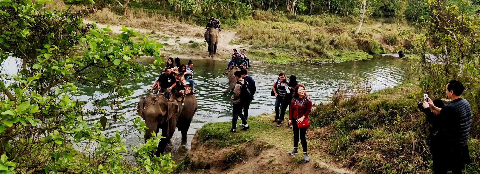 Nepal Jungle safari Tour