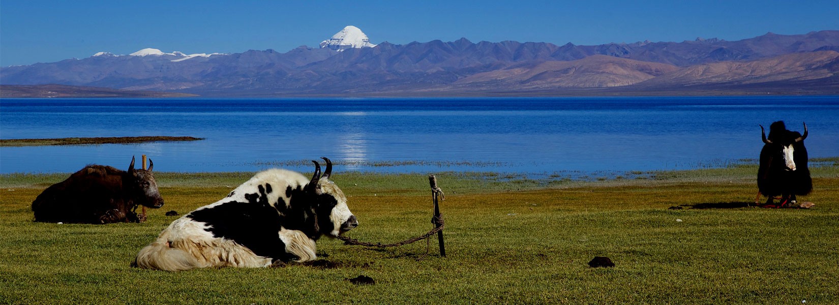 Tibet Mount Kailash Manosarobar Lake Tour