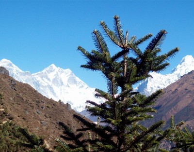 Everest View Trekking